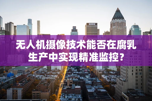 无人机摄像技术能否在腐乳生产中实现精准监控？