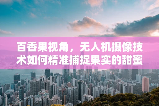 百香果视角，无人机摄像技术如何精准捕捉果实的甜蜜瞬间？