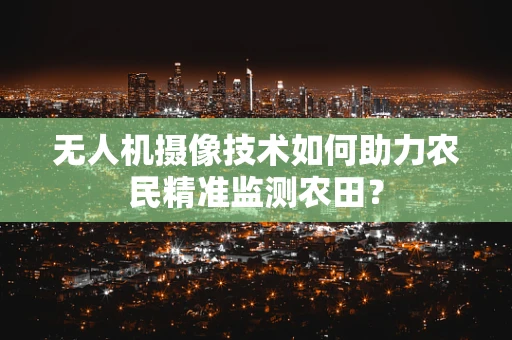 无人机摄像技术如何助力农民精准监测农田？