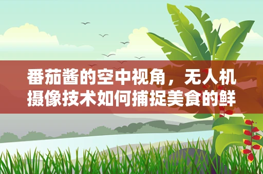 番茄酱的空中视角，无人机摄像技术如何捕捉美食的鲜活瞬间？