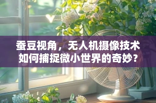 蚕豆视角，无人机摄像技术如何捕捉微小世界的奇妙？