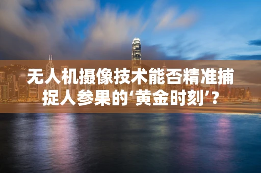 无人机摄像技术能否精准捕捉人参果的‘黄金时刻’？