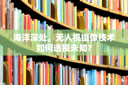 海洋深处，无人机摄像技术如何透视未知？