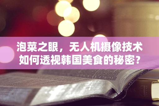 泡菜之眼，无人机摄像技术如何透视韩国美食的秘密？