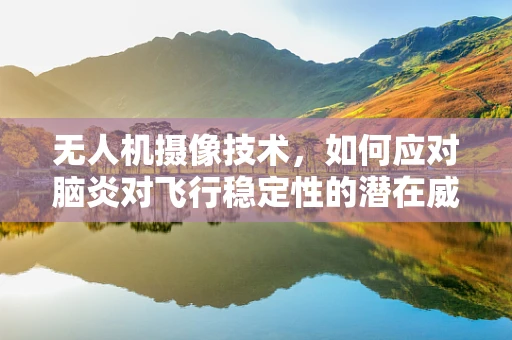 无人机摄像技术，如何应对脑炎对飞行稳定性的潜在威胁？