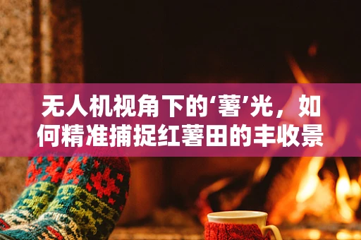无人机视角下的‘薯’光，如何精准捕捉红薯田的丰收景象？