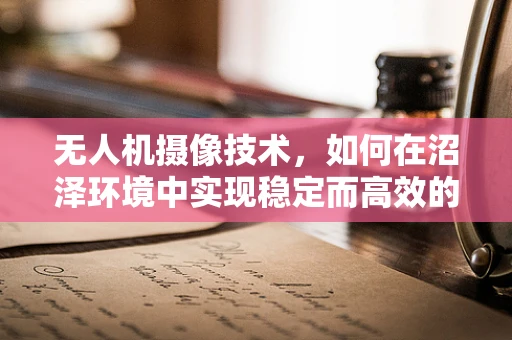 无人机摄像技术，如何在沼泽环境中实现稳定而高效的拍摄？