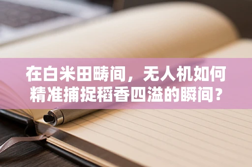 在白米田畴间，无人机如何精准捕捉稻香四溢的瞬间？