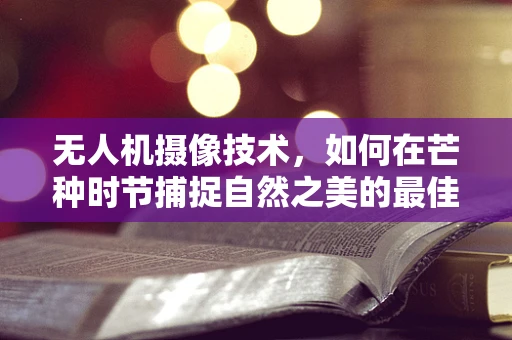 无人机摄像技术，如何在芒种时节捕捉自然之美的最佳瞬间？