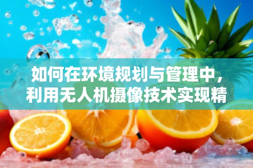 如何在环境规划与管理中，利用无人机摄像技术实现精准监测？