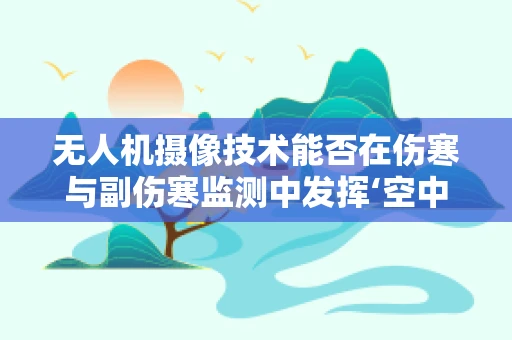 无人机摄像技术能否在伤寒与副伤寒监测中发挥‘空中之眼’的作用？