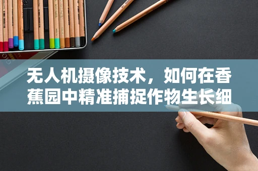 无人机摄像技术，如何在香蕉园中精准捕捉作物生长细节？