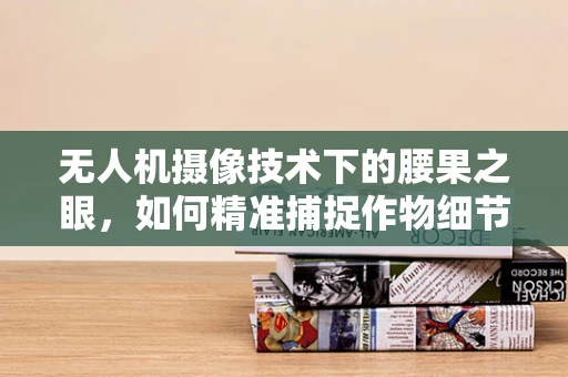 无人机摄像技术下的腰果之眼，如何精准捕捉作物细节？