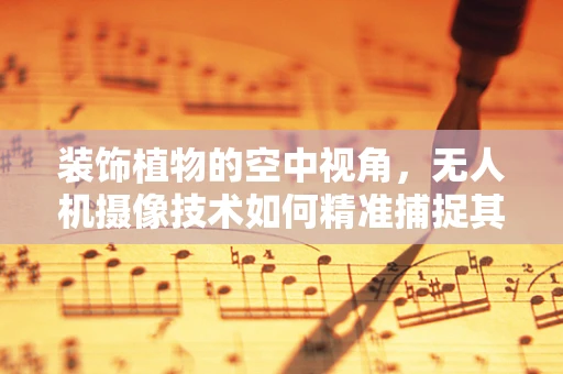装饰植物的空中视角，无人机摄像技术如何精准捕捉其独特魅力？