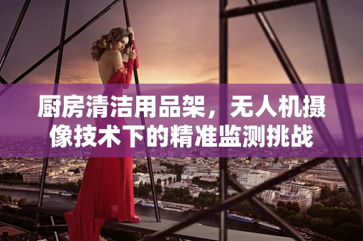 厨房清洁用品架，无人机摄像技术下的精准监测挑战
