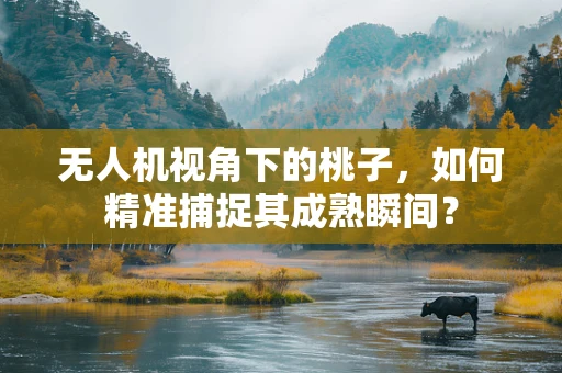无人机视角下的桃子，如何精准捕捉其成熟瞬间？
