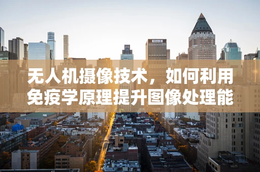 无人机摄像技术，如何利用免疫学原理提升图像处理能力？