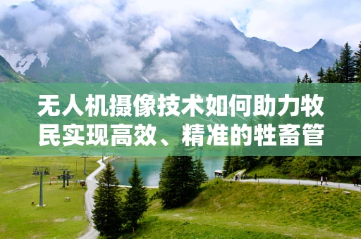 无人机摄像技术如何助力牧民实现高效、精准的牲畜管理？