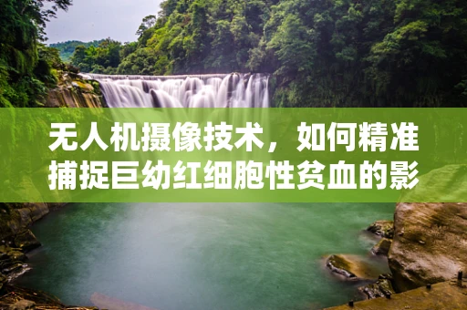 无人机摄像技术，如何精准捕捉巨幼红细胞性贫血的影像特征？