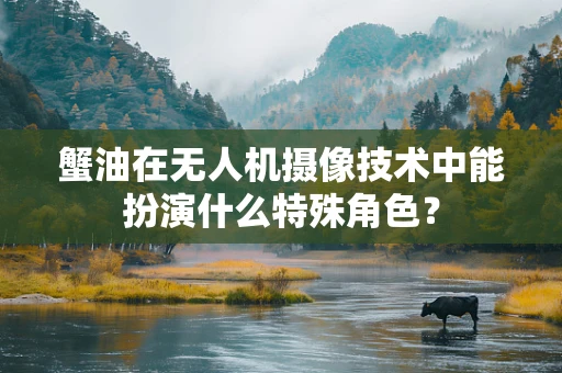蟹油在无人机摄像技术中能扮演什么特殊角色？