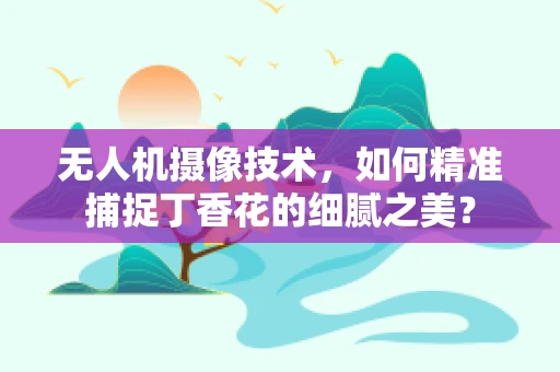 无人机摄像技术，如何精准捕捉丁香花的细腻之美？