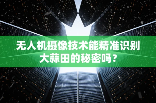 无人机摄像技术能精准识别大蒜田的秘密吗？