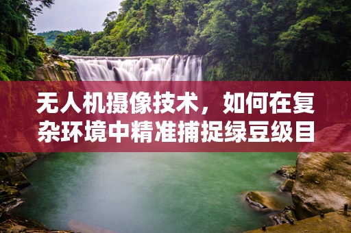 无人机摄像技术，如何在复杂环境中精准捕捉绿豆级目标？