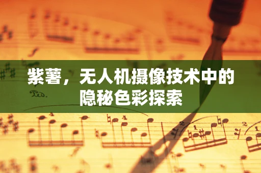 紫薯，无人机摄像技术中的隐秘色彩探索