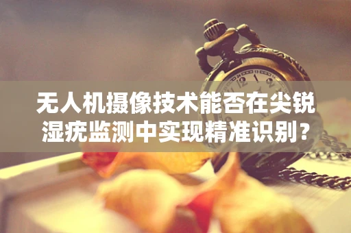 无人机摄像技术能否在尖锐湿疣监测中实现精准识别？