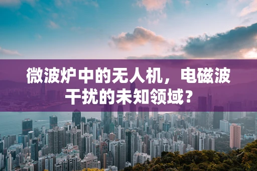 微波炉中的无人机，电磁波干扰的未知领域？