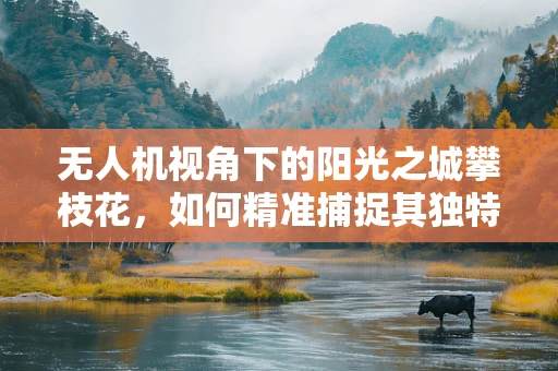 无人机视角下的阳光之城攀枝花，如何精准捕捉其独特魅力？