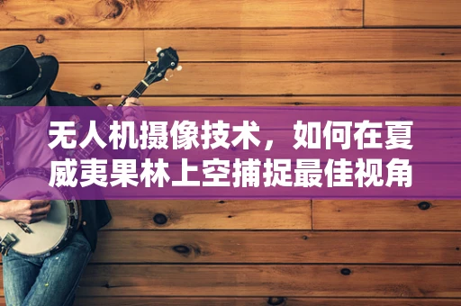 无人机摄像技术，如何在夏威夷果林上空捕捉最佳视角？