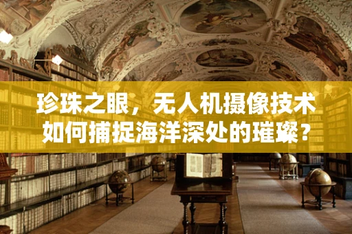 珍珠之眼，无人机摄像技术如何捕捉海洋深处的璀璨？