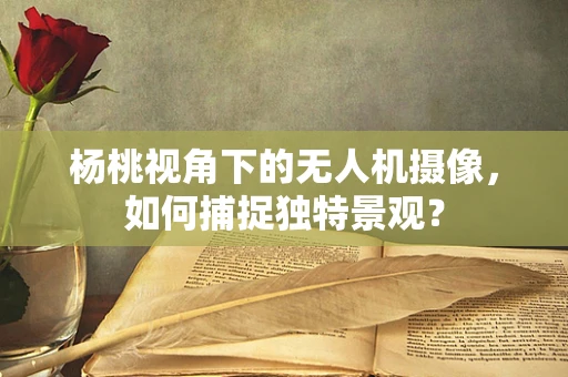 杨桃视角下的无人机摄像，如何捕捉独特景观？