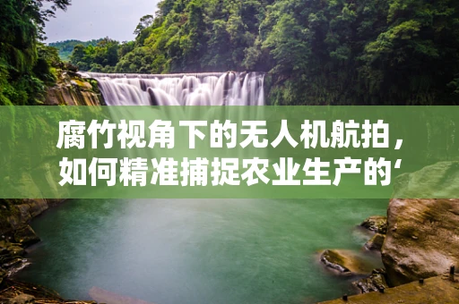 腐竹视角下的无人机航拍，如何精准捕捉农业生产的‘隐形冠军’？