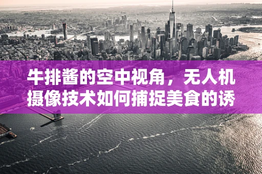 牛排酱的空中视角，无人机摄像技术如何捕捉美食的诱人瞬间？