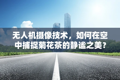 无人机摄像技术，如何在空中捕捉菊花茶的静谧之美？