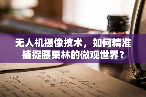 无人机摄像技术，如何精准捕捉腰果林的微观世界？