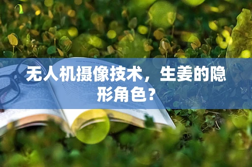 无人机摄像技术，生姜的隐形角色？