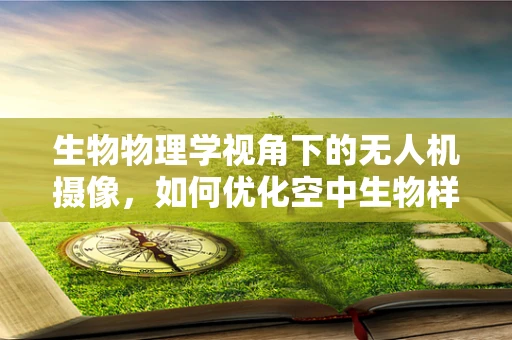 生物物理学视角下的无人机摄像，如何优化空中生物样本的精准捕捉与分析？
