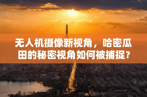 无人机摄像新视角，哈密瓜田的秘密视角如何被捕捉？