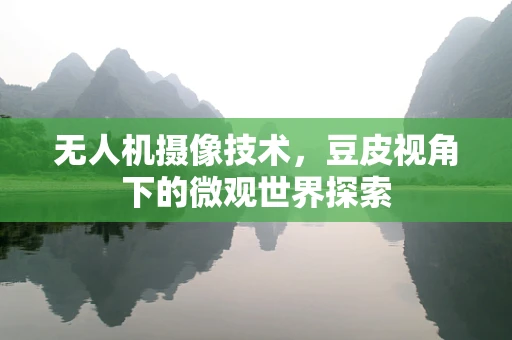 无人机摄像技术，豆皮视角下的微观世界探索