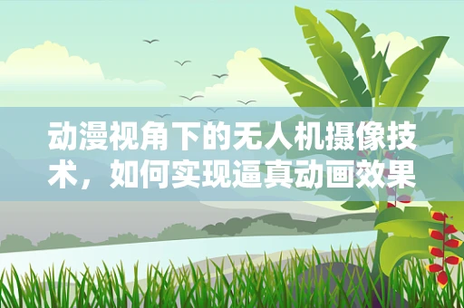 动漫视角下的无人机摄像技术，如何实现逼真动画效果？