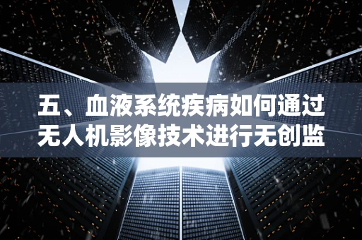 五、血液系统疾病如何通过无人机影像技术进行无创监测？
