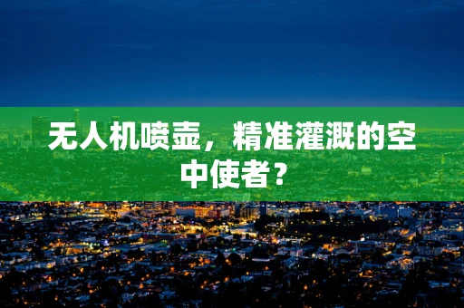 无人机喷壶，精准灌溉的空中使者？