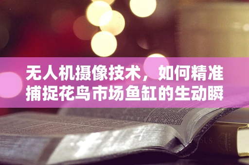 无人机摄像技术，如何精准捕捉花鸟市场鱼缸的生动瞬间？