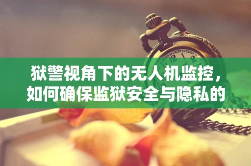 狱警视角下的无人机监控，如何确保监狱安全与隐私的平衡？