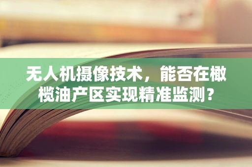 无人机摄像技术，能否在橄榄油产区实现精准监测？