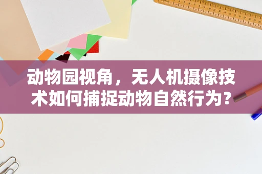 动物园视角，无人机摄像技术如何捕捉动物自然行为？