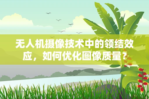 无人机摄像技术中的领结效应，如何优化图像质量？
